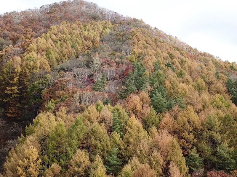 計測箇所の上空